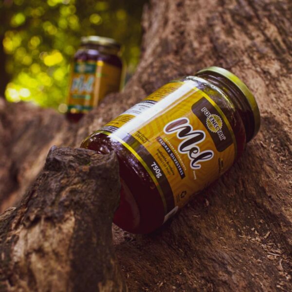 Mel PURO Flores Silvestres Polenectar® 750g